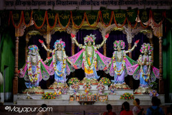 Daily Darshan