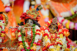Daily Darshan