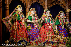 Daily Darshan