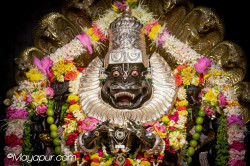 Daily Darshan