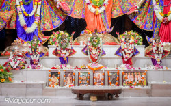 Daily Darshan