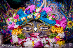 Daily Darshan