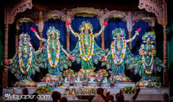 Daily Darshan