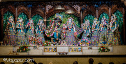 Daily Darshan