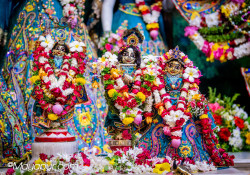 Daily Darshan