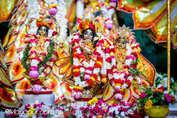 Daily Darshan