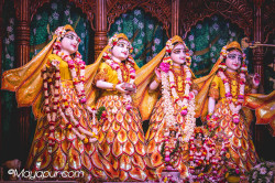 Daily Darshan