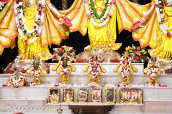 Daily Darshan