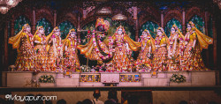 Daily Darshan