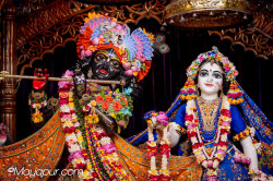 Daily Darshan