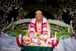 Daily Darshan
