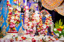 Daily Darshan