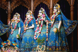 Daily Darshan