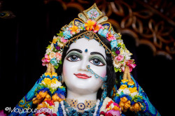 Daily Darshan