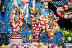 Daily Darshan