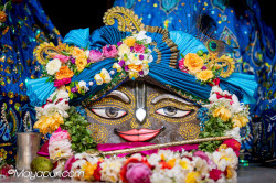 Daily Darshan