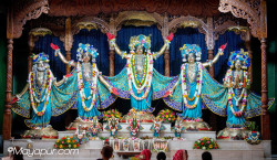 Daily Darshan