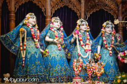 Daily Darshan