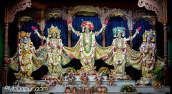 Daily Darshan