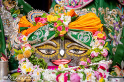 Daily Darshan