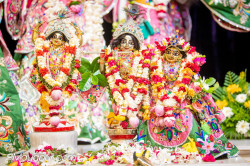 Daily Darshan