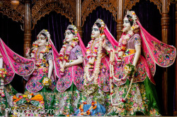 Daily Darshan