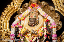 Daily Darshan