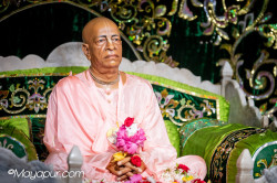 Daily Darshan