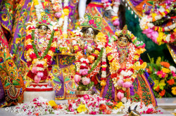 Daily Darshan