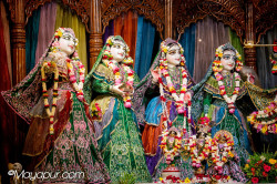 Daily Darshan