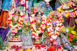 Daily Darshan