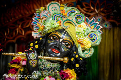 Daily Darshan