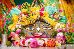 Daily Darshan