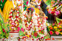 Daily Darshan