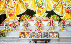 Daily Darshan