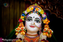 Daily Darshan