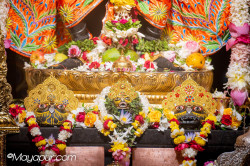 Daily Darshan