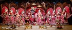 Daily Darshan