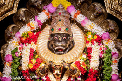 Daily Darshan
