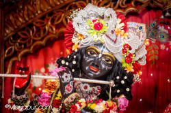 Daily Darshan