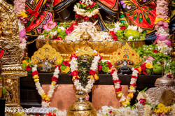 Daily Darshan