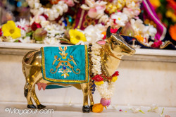 Daily Darshan