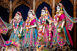 Daily Darshan