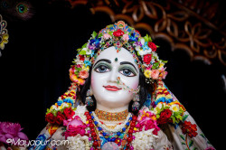 Daily Darshan