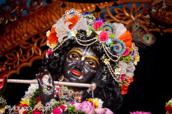 Daily Darshan