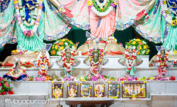 Daily Darshan