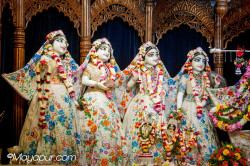 Daily Darshan