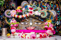 Daily Darshan