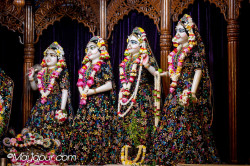 Daily Darshan