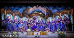 Daily Darshan